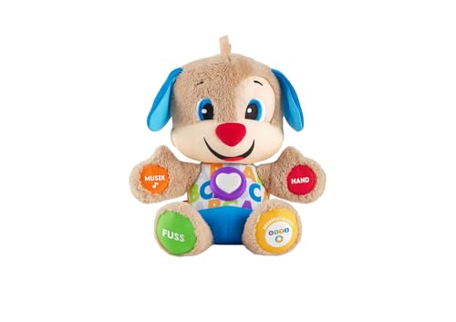 Fisher-Price Babyspielzeug 6 Monate